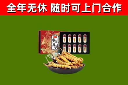 茂南区烟酒回收冬虫夏草礼盒.jpg