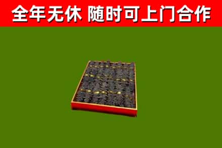 茂南区回收海参